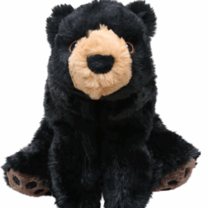 Bear (Squeaky Toy)