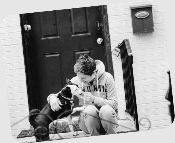 leash training adult dogs