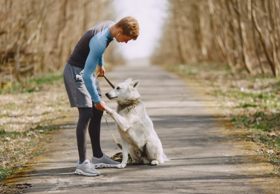 pet sitting in Capitol Hill, DC
