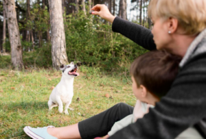 behaviour modification techniques for dogs