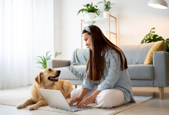 pet sitting on Capitol Hill, DC